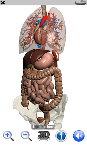 Visual Anatomy Free Screenshot 3