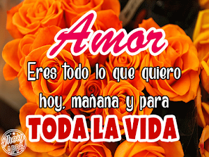 Flores y Rosas de Amor con Frases Románticas Screenshot 2