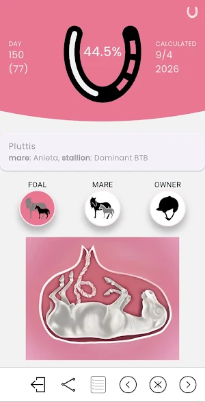 MY FOAL Screenshot 2