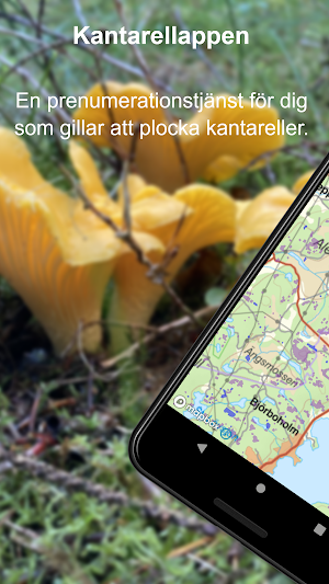 Kantarellappen Screenshot 0