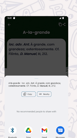 Dicionário de Português Screenshot 3