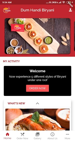 Dum Handi Biryani Screenshot 0
