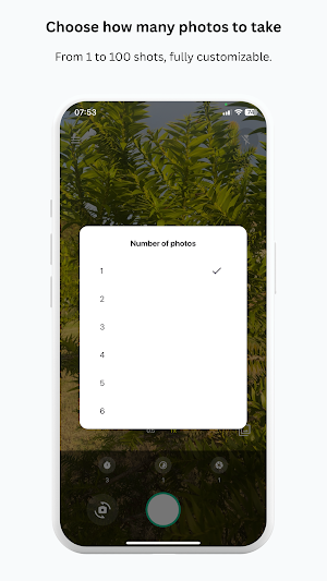 PicTimer+ Screenshot 1
