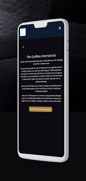 Guldhov Screenshot 2