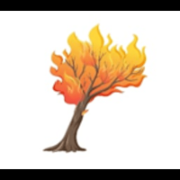 Forest Fire Mussoorie