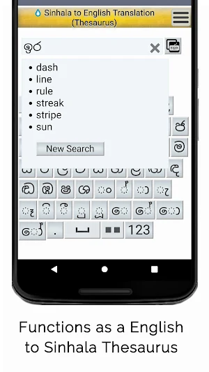 Sinhala to English Translation Screenshot 1
