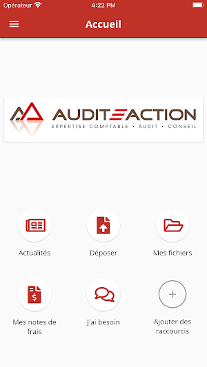 Audit Action Screenshot 1