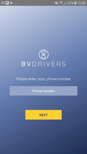 BLUE VALET DRIVERS Screenshot 0