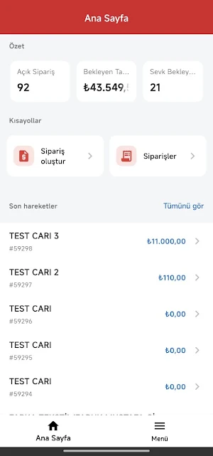 Soletex Screenshot 2