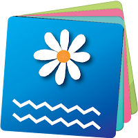 Daisy Notes - notebook, diary