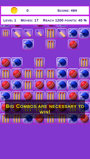 Cricket Match 3 Screenshot 2