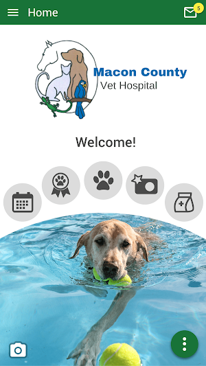 Macon County Vet Hospital Screenshot 0