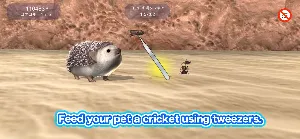 My Hedgehog Screenshot 1