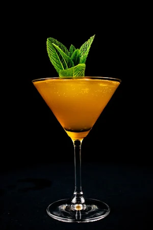 Easy Cocktail Recipes Screenshot 0