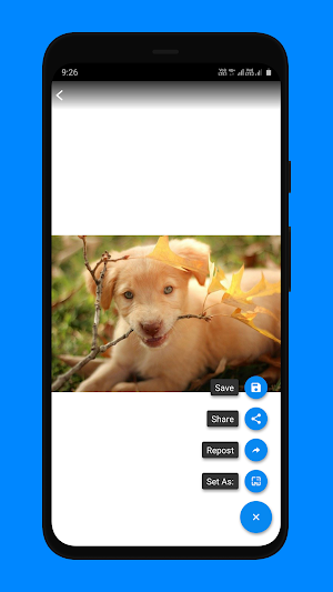 WAStatusSaver Screenshot 1