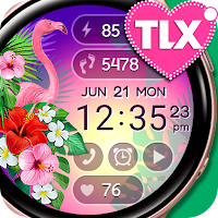 Flamingo Summer