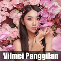Vilmei Panggilan Wallpapers HD