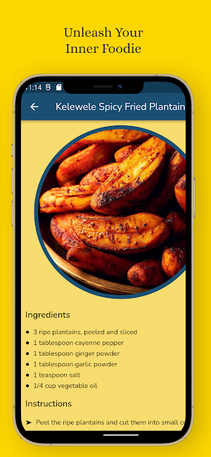 Ghanaian Recipes Screenshot 3