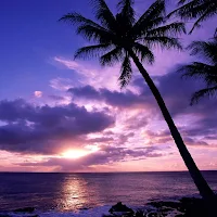Sunset Beach Wallpapers