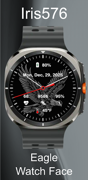 Iris576 Eagle Theme Watch Face Screenshot 1