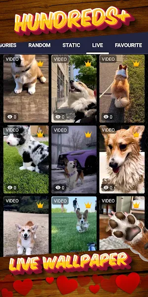 corgi wallpaper Screenshot 2