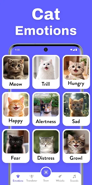 Cat Translator: Human to Cat Screenshot 2