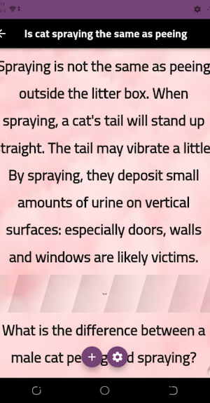 cat spraying Screenshot 2
