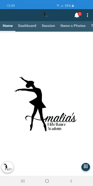 Amalia's Elite Dance Academy Screenshot 0