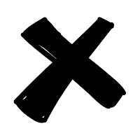 SwapX Studio