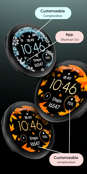 ReS51 - Autumn & Winter Watch Screenshot 2