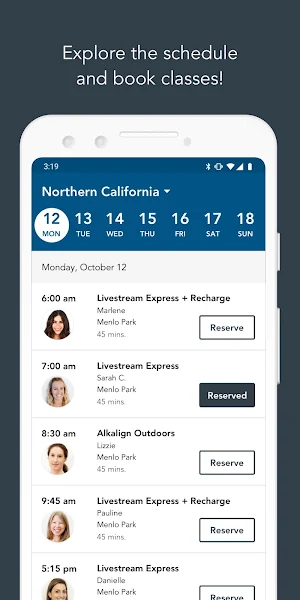 Alkalign Screenshot 2