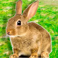 Rabbit Simulator Survival Game