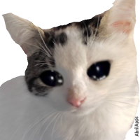 WAStickerApps Stickers Cats