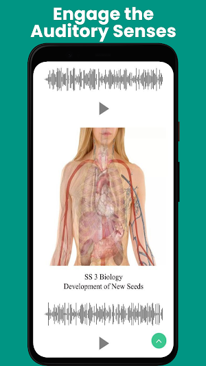 JS 1 - SS 3 Audio Lesson Notes Screenshot 2