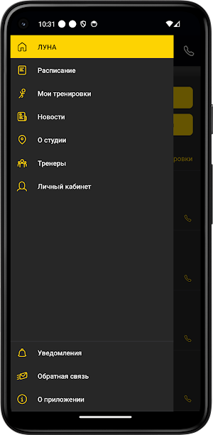 Луна Screenshot 2