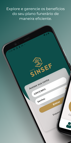 Grupo Sinsef Screenshot 0