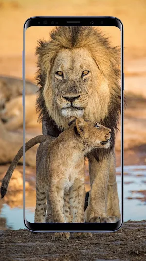 Lion Wallpapers Screenshot 3