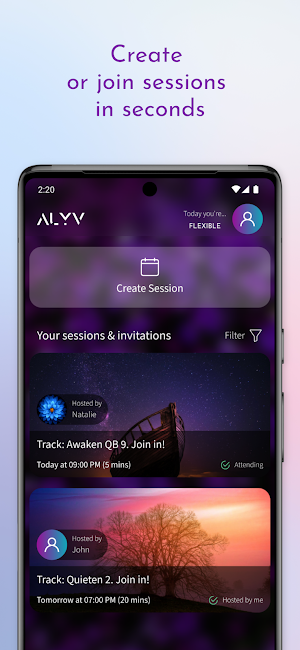 ALYV Screenshot 3