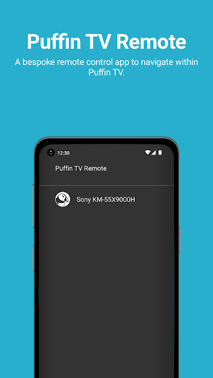Puffin TV Remote Screenshot 0