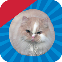 Jumping Cat - touch & tap
