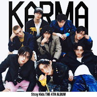 Stray Kids (Stay Connect)