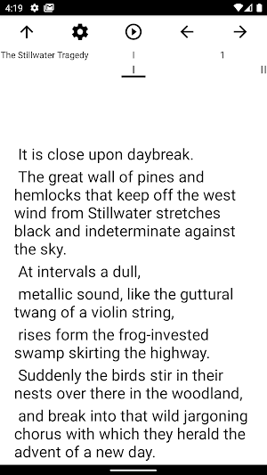 Book, The Stillwater Tragedy Screenshot 1