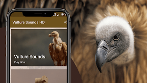 Vulture Sounds Screenshot 1