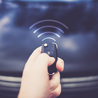 Car Alarm Sounds