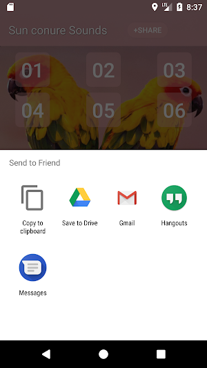 Sun conure bird sounds Screenshot 3