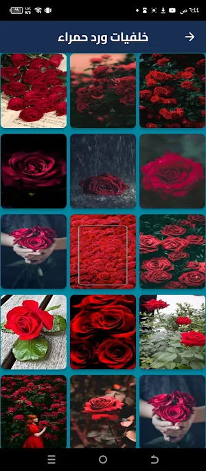 خلفيات ورد Screenshot 1