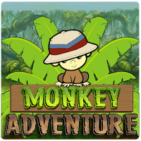 Monkey Adventure