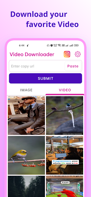 Video downloader Screenshot 1
