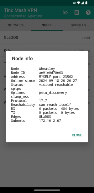 Tinc Mesh VPN Screenshot 1