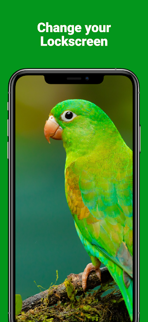 Beautiful hd bird wallpapers Screenshot 2